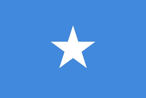[2SOMAL] 2X3' SOMALIA