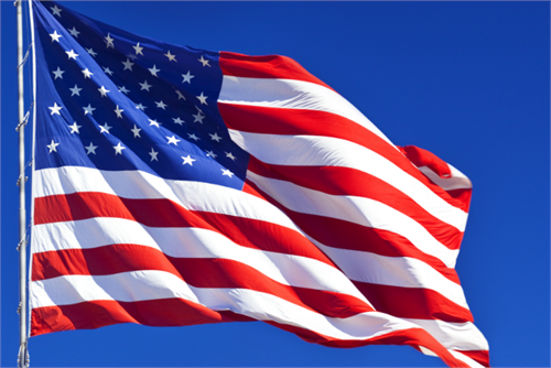 12 X 18" U.S. SCREENED FLAG