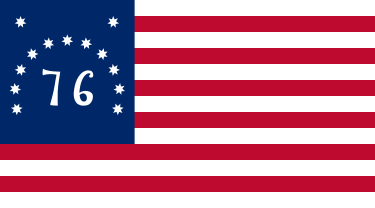 2X3' BENNINGTON NYL FLAG