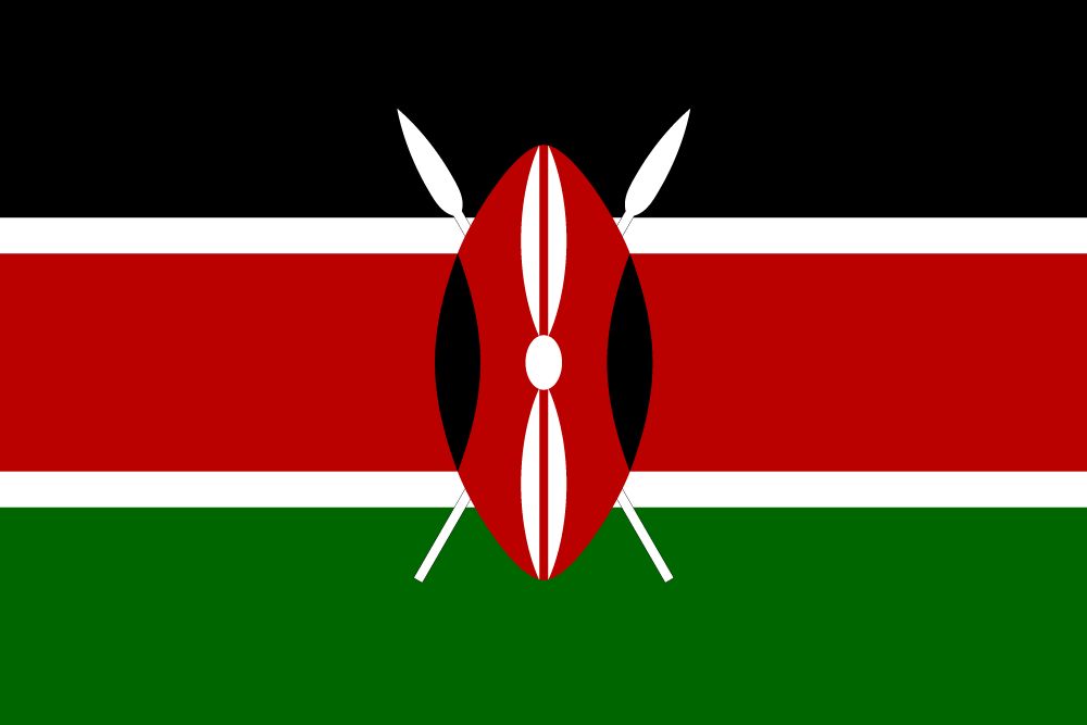2X3' KENYA NYLON S/F