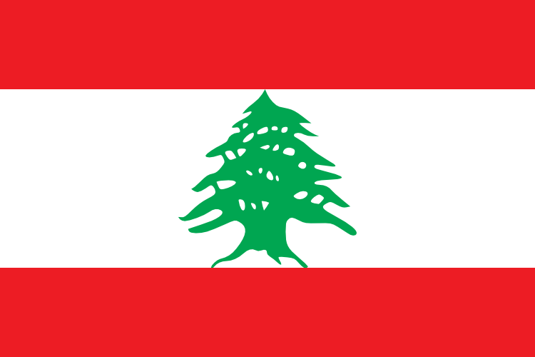 2X3' LEBANON
