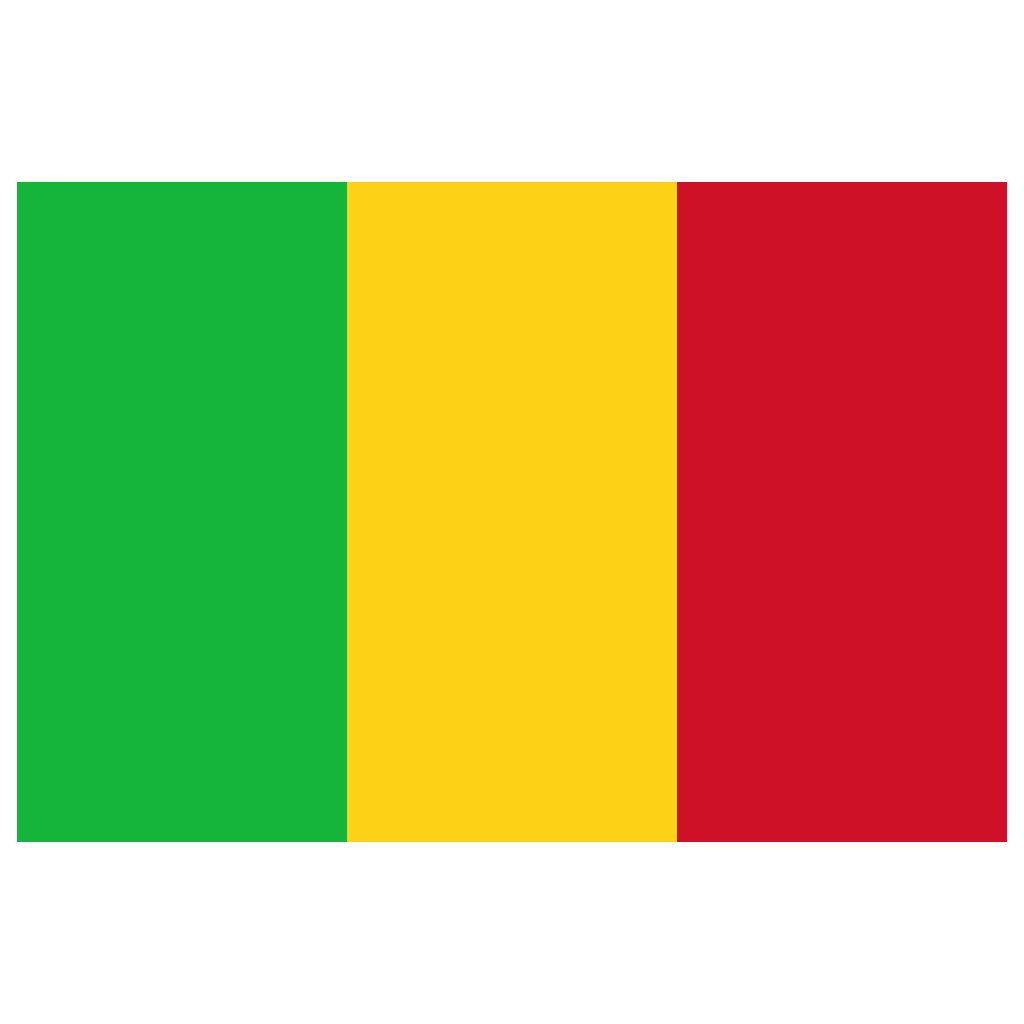 2X3' MALI