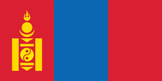 2X3' MONGOLIA