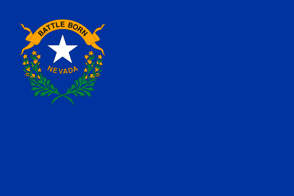 2X3' NEVADA