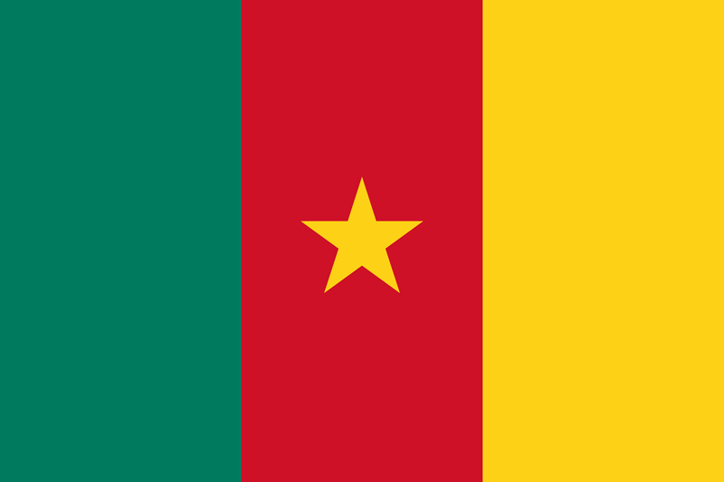 3X5' CAMEROON