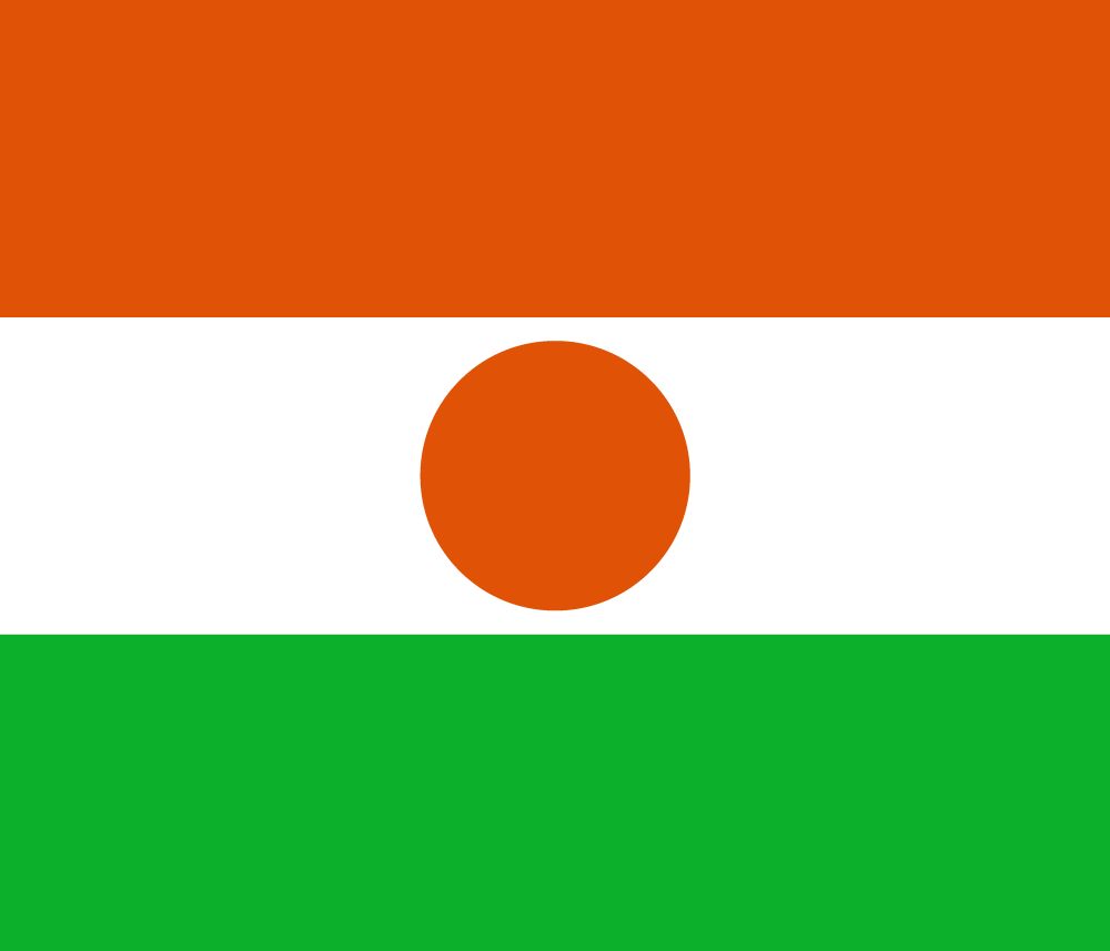 4X6' NIGER