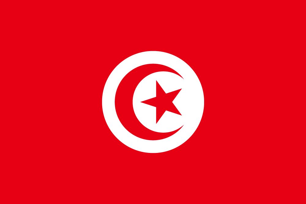 4X6' TUNISIA