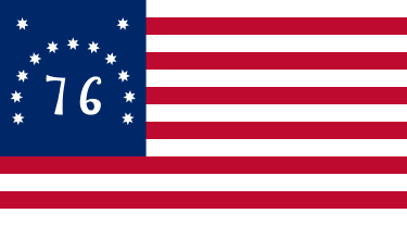 5X8' BENNINGTON NYL FLAG