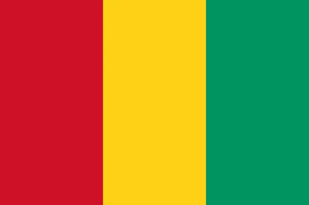 5X8' GUINEA