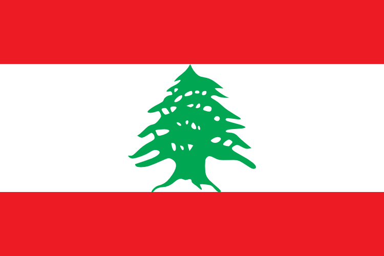 5X8' LEBANON