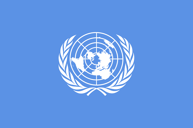 5X8' UNITED NATIONS