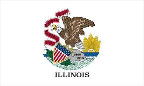 8X12' ILLINOIS NYLON