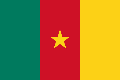 [2CAMER] 2X3' CAMEROON