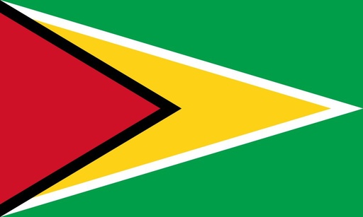 [2GUYAN] 2X3' GUYANA