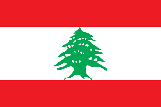 [2LEBAN] 2X3' LEBANON