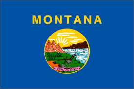 [2MT] 2X3' MONTANA