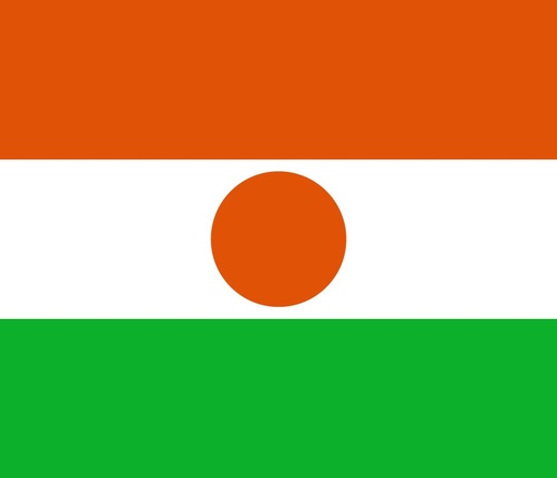 [2NIGER] 2X3' NIGER