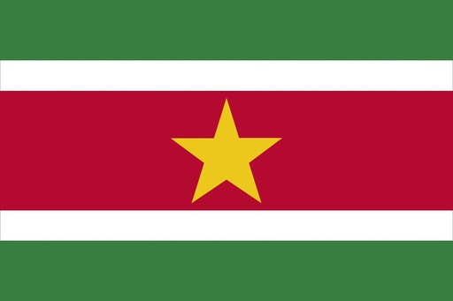 [2SURIN] 2X3' SURINAME