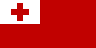 [2TONGA] 2'X3' TONGA