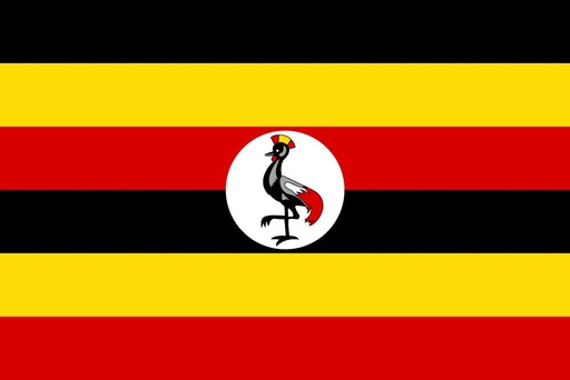 [2UGAND] 2X3' UGANDA