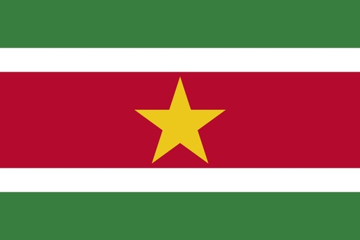 [3SURIN] 3X5' SURINAME