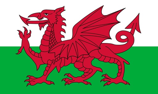 [3WALES] 3X5' WALES