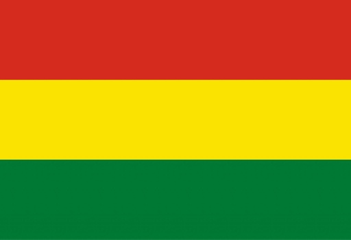 [5BOLIV] 5X8' BOLIVIA