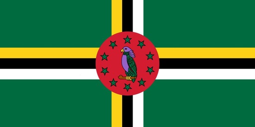 [5DOMIN] 5X8' DOMINICA