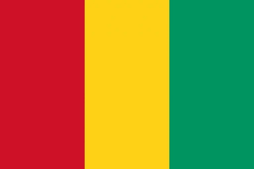 [5GUINE] 5X8' GUINEA