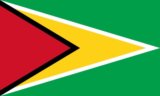 [5GUYAN] 5X8' GUYANA