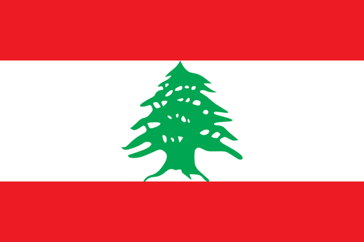 [5LEBAN] 5X8' LEBANON
