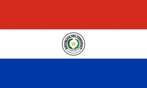 [5PARAG] 5X8' PARAGUAY