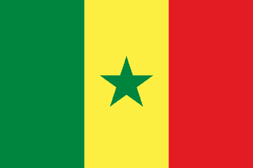 [5SENEG] 5X8' SENEGAL