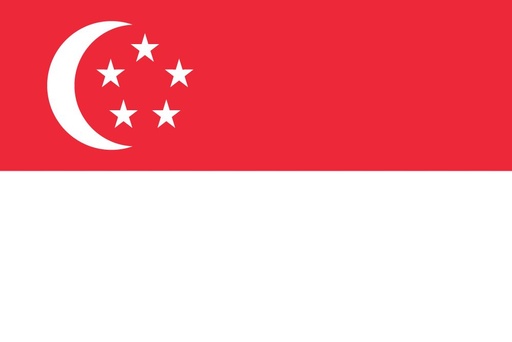 [5SINGA] 5X8' SINGAPORE