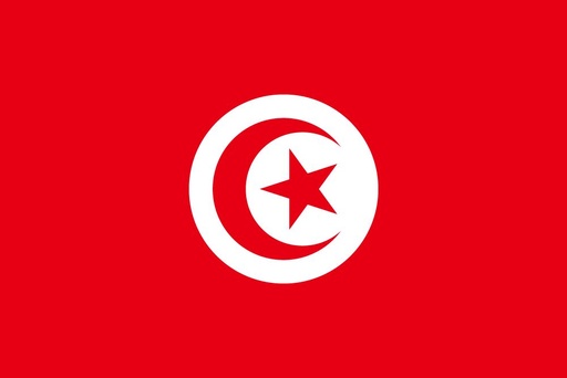 [5TUNIS] 5X8' TUNISIA