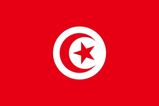 [5TUNIS] 5X8' TUNISIA